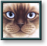 Braldt Bralds art print: Burman
