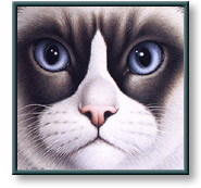 Braldt Bralds art print: Snowshoe