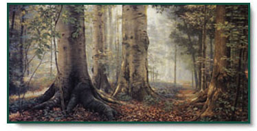Greg Olsen - Sacred Grove