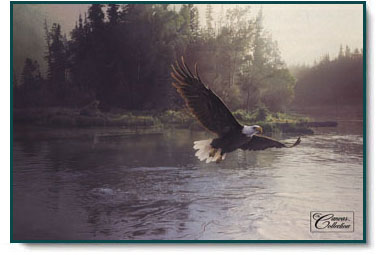 Daniel Smith - Forever Free