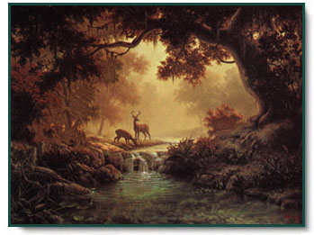 Dahlhart Windberg - Woodland Reflections